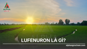 LUFENURON