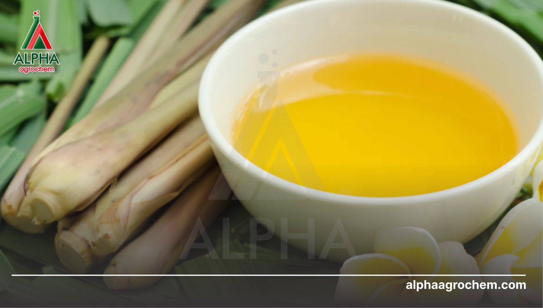 Lưu ý khi sử dụng