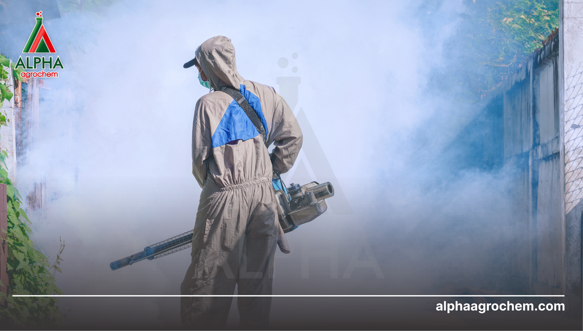 Lưu ý khi sử dụng