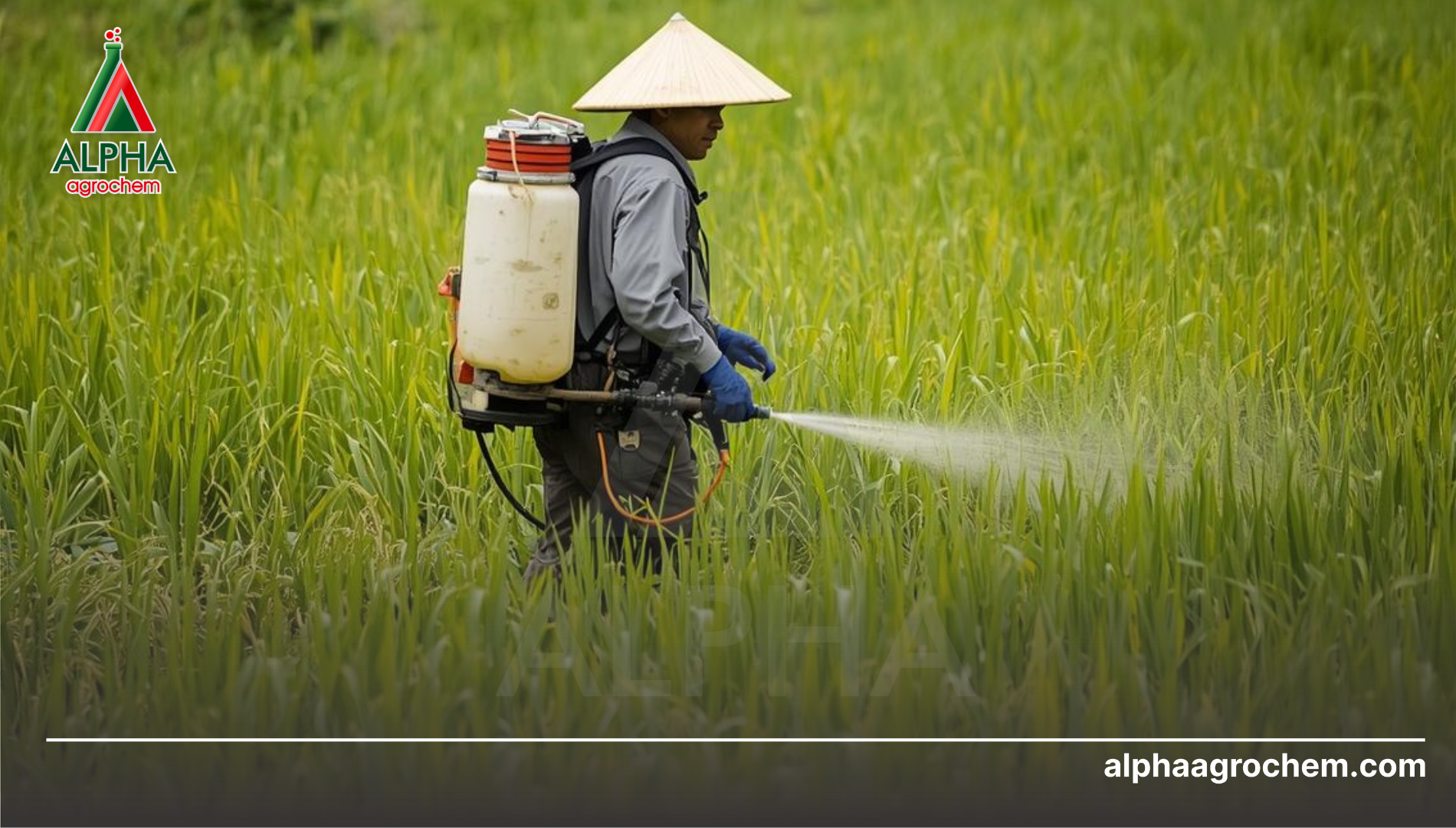 Lưu ý sử dụng
