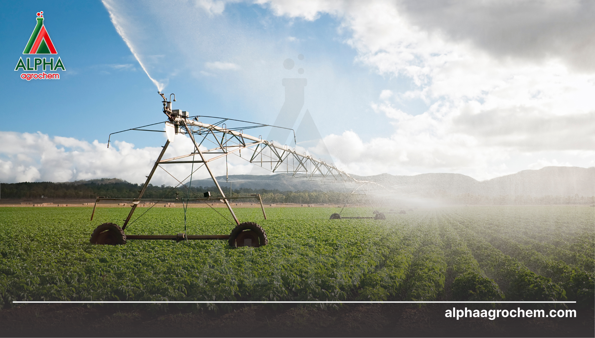 Lưu ý khi sử dụng