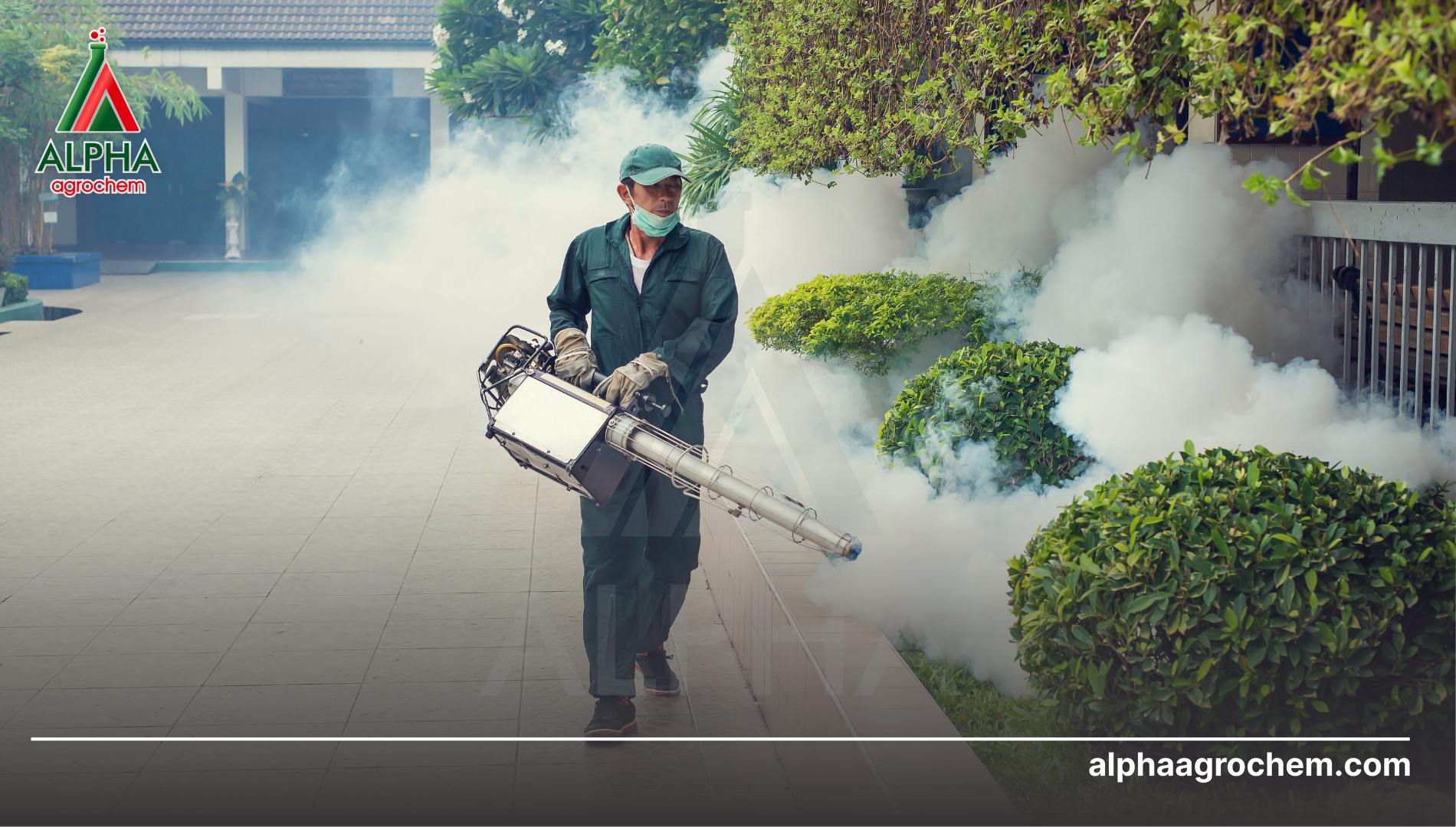 Lưu ý khi sử dụng