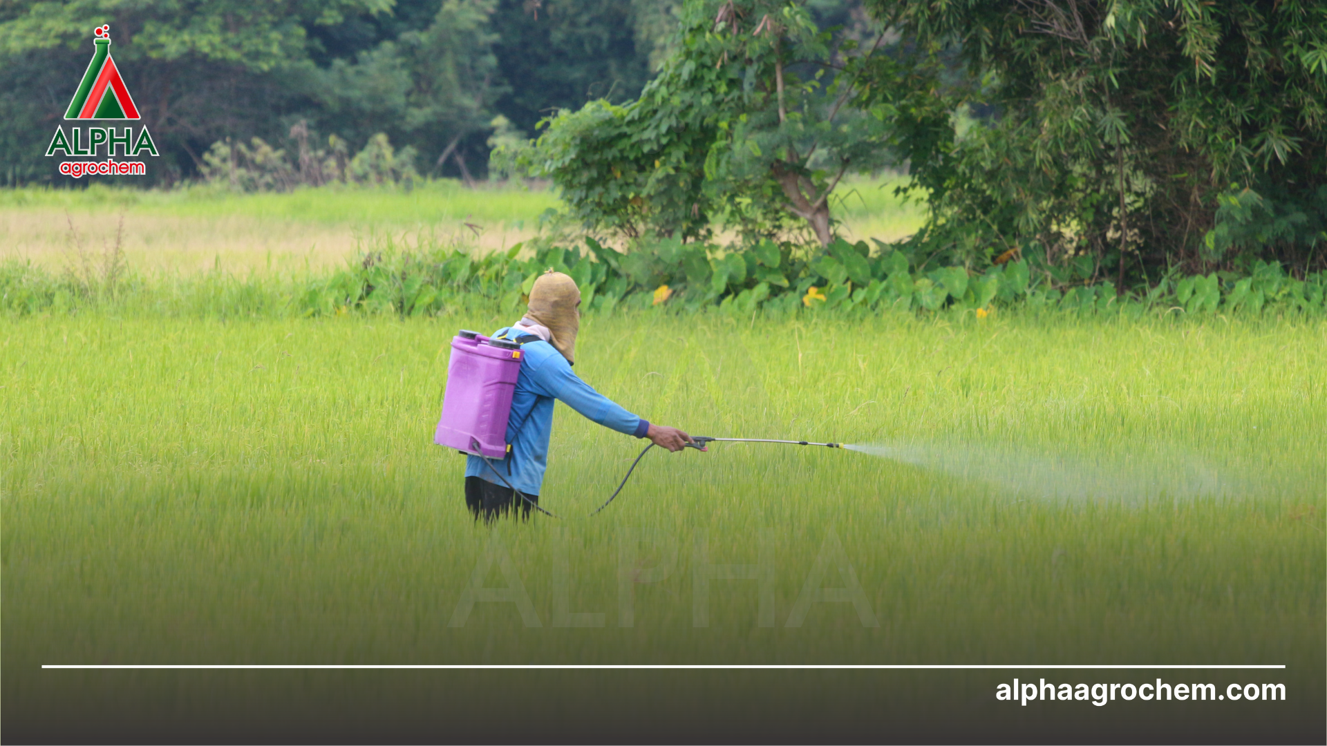Lưu ý khi sử dụng