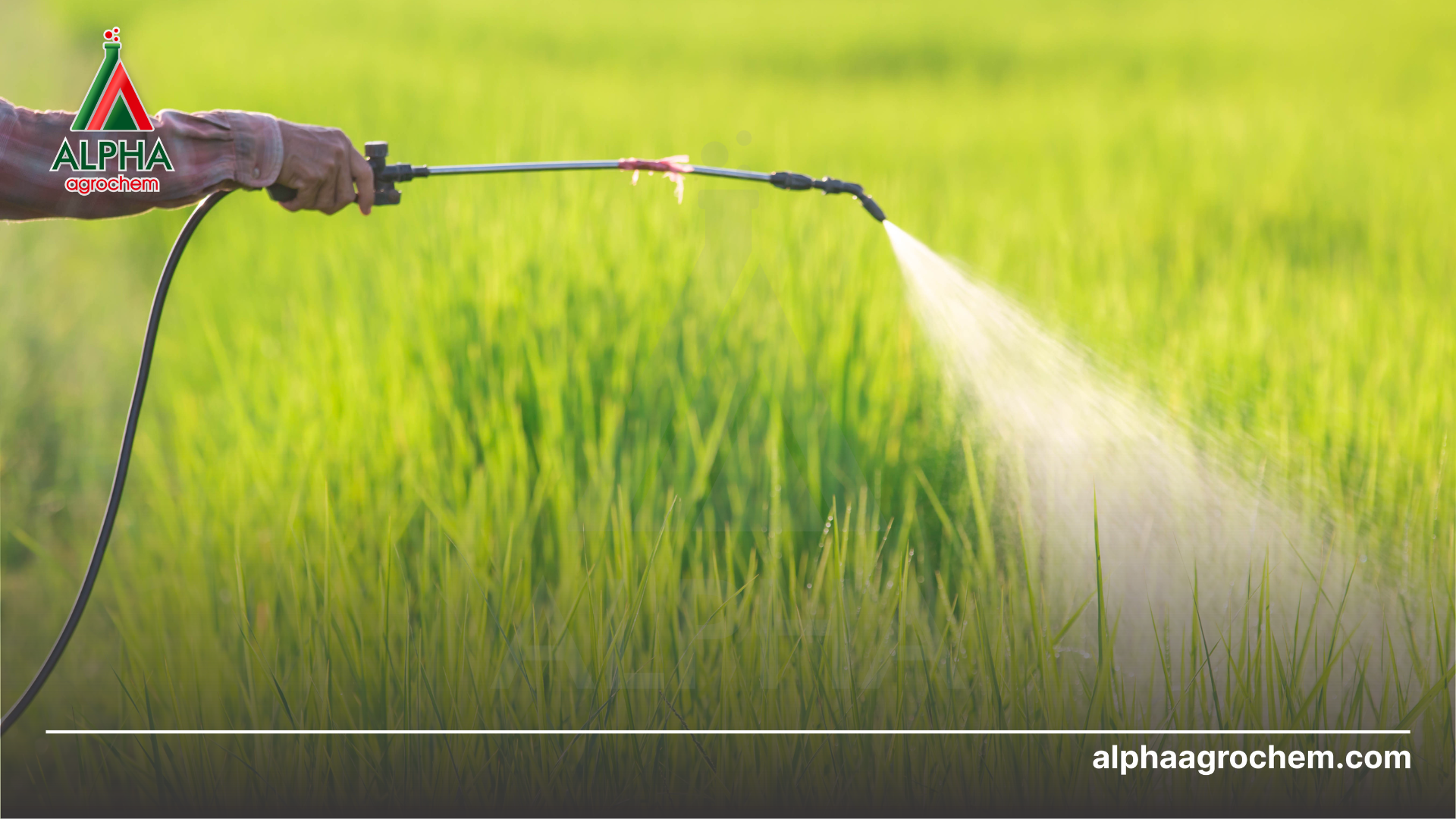 Lưu ý khi sử dụng