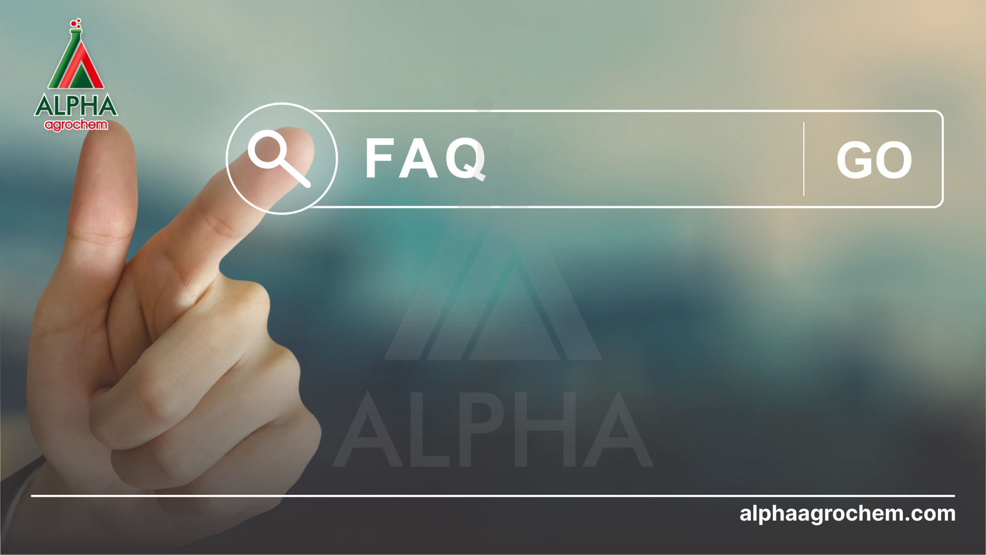 Câu hỏi thường gặp 