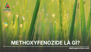 Methoxyfenozide
