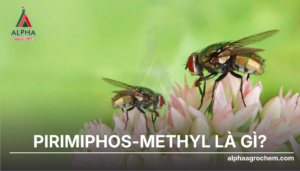 Pirimiphos-methyl