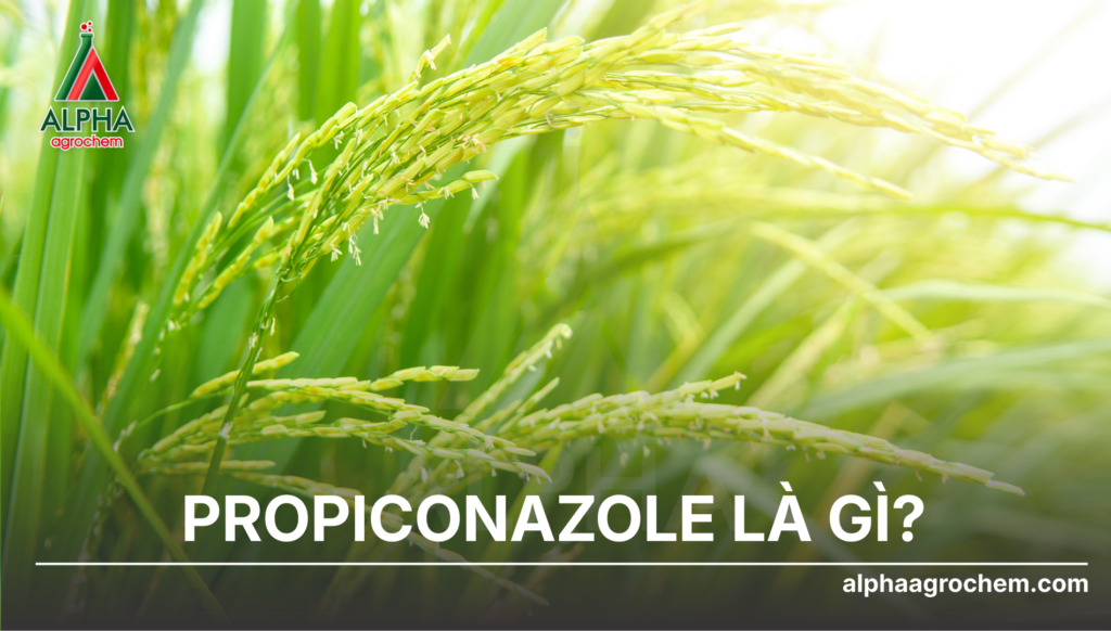 Propiconazole