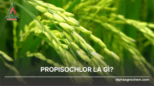 Propisochlor