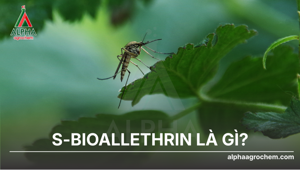 S-Bioallethrin