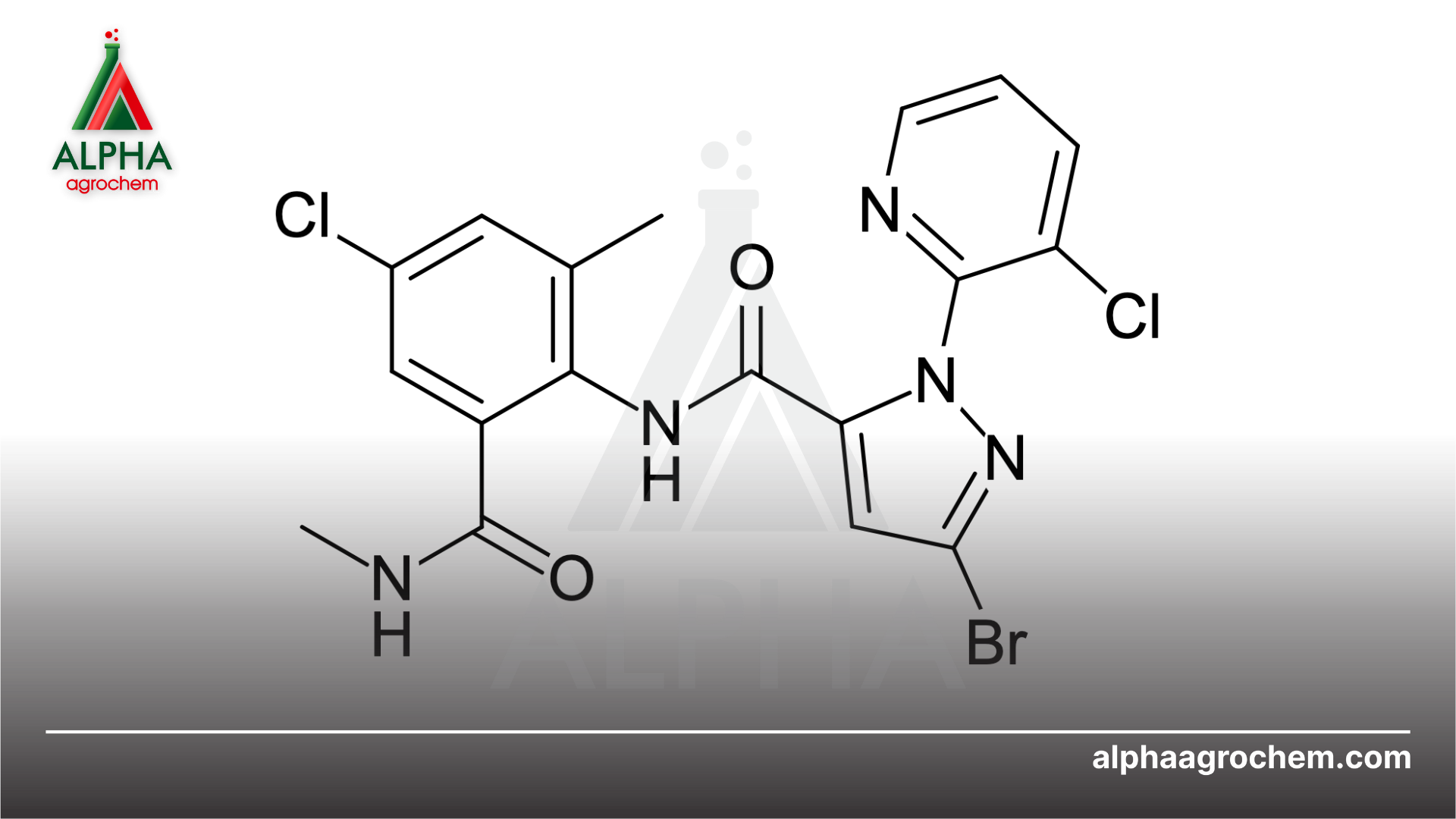 Thông tin chung về Chlorantraniliprole 