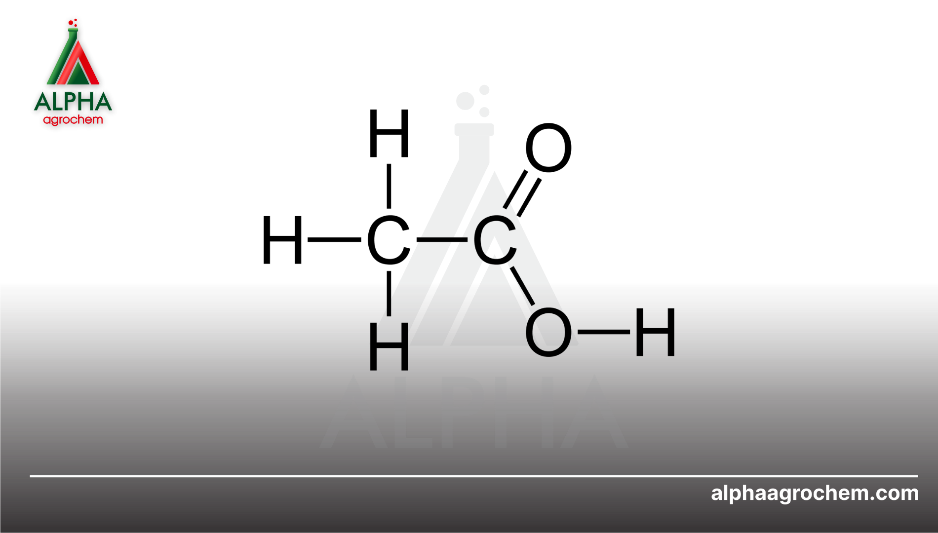 Thông tin chung về Acid acetic