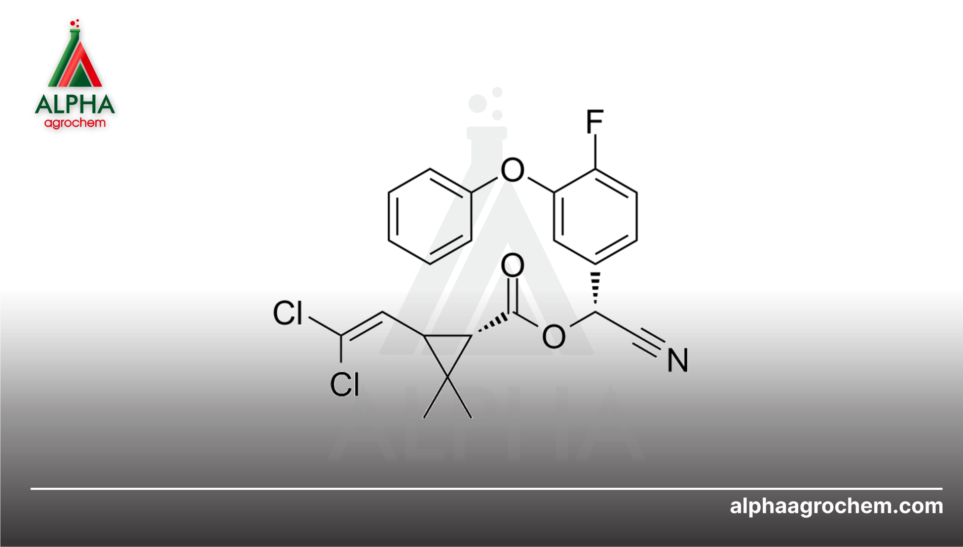 Thông tin chung về Beta-cyfluthrin