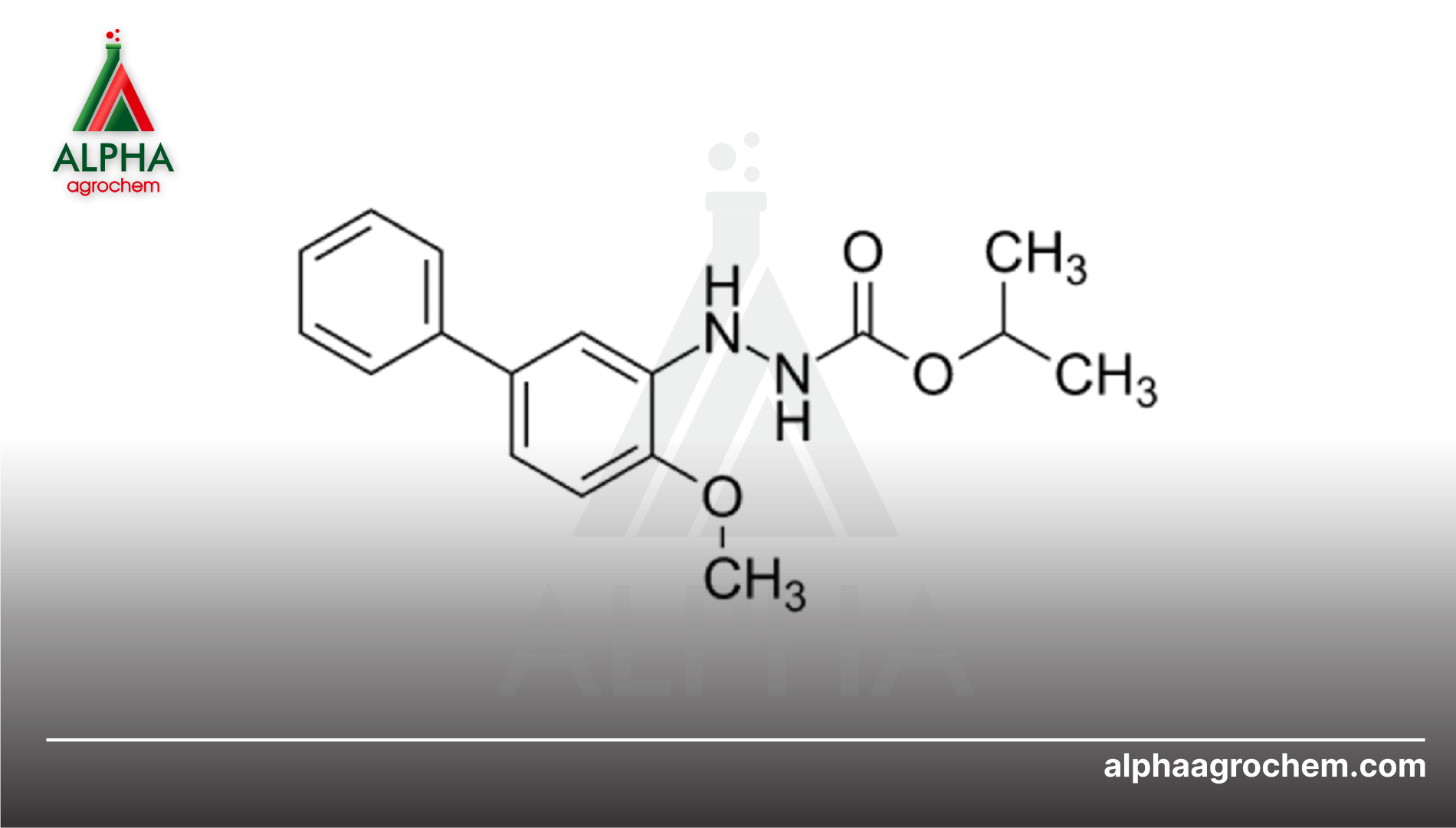Giới thiệu về hoạt chất Bifenazate
