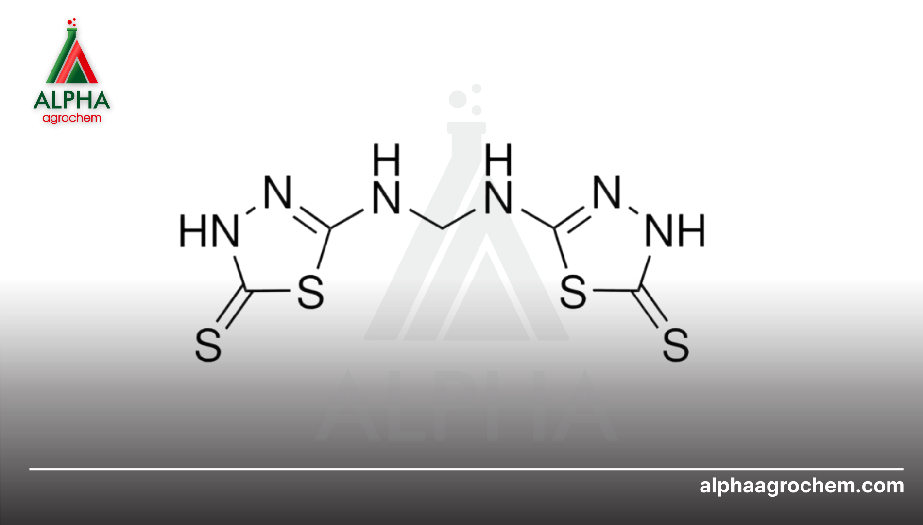 Thông tin chung Bismerthiazole