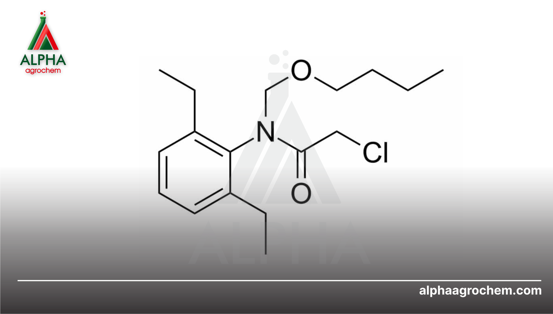 Thông tin chung Butachlor 