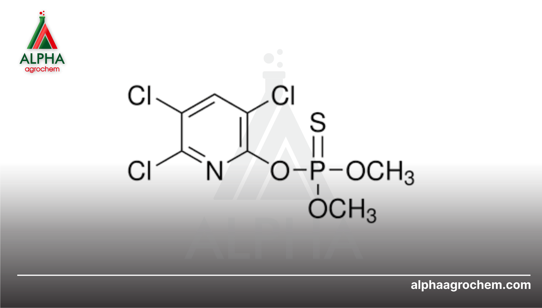 Giới thiệu về hoạt chất Chlorpyrifos Methyl