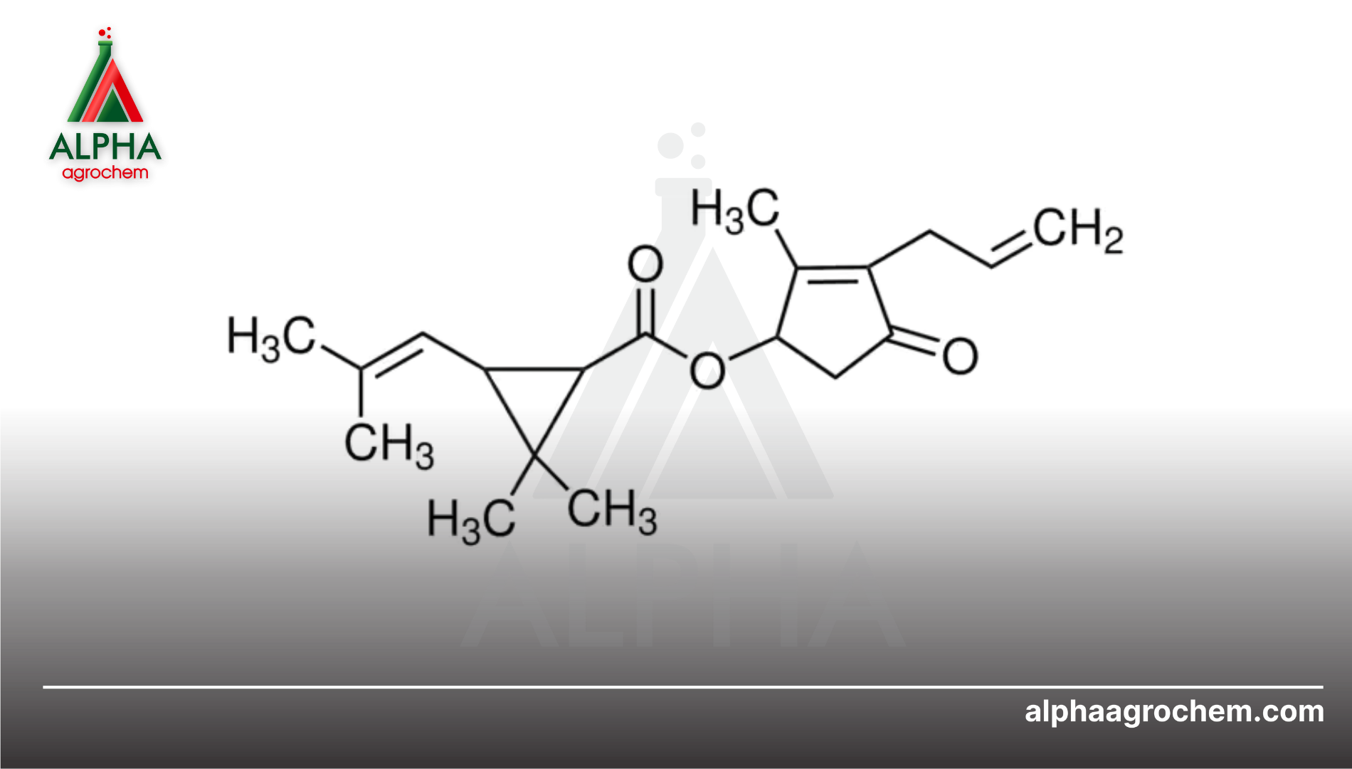 Giới thiệu về hoạt chất ESBIOTHRIN
