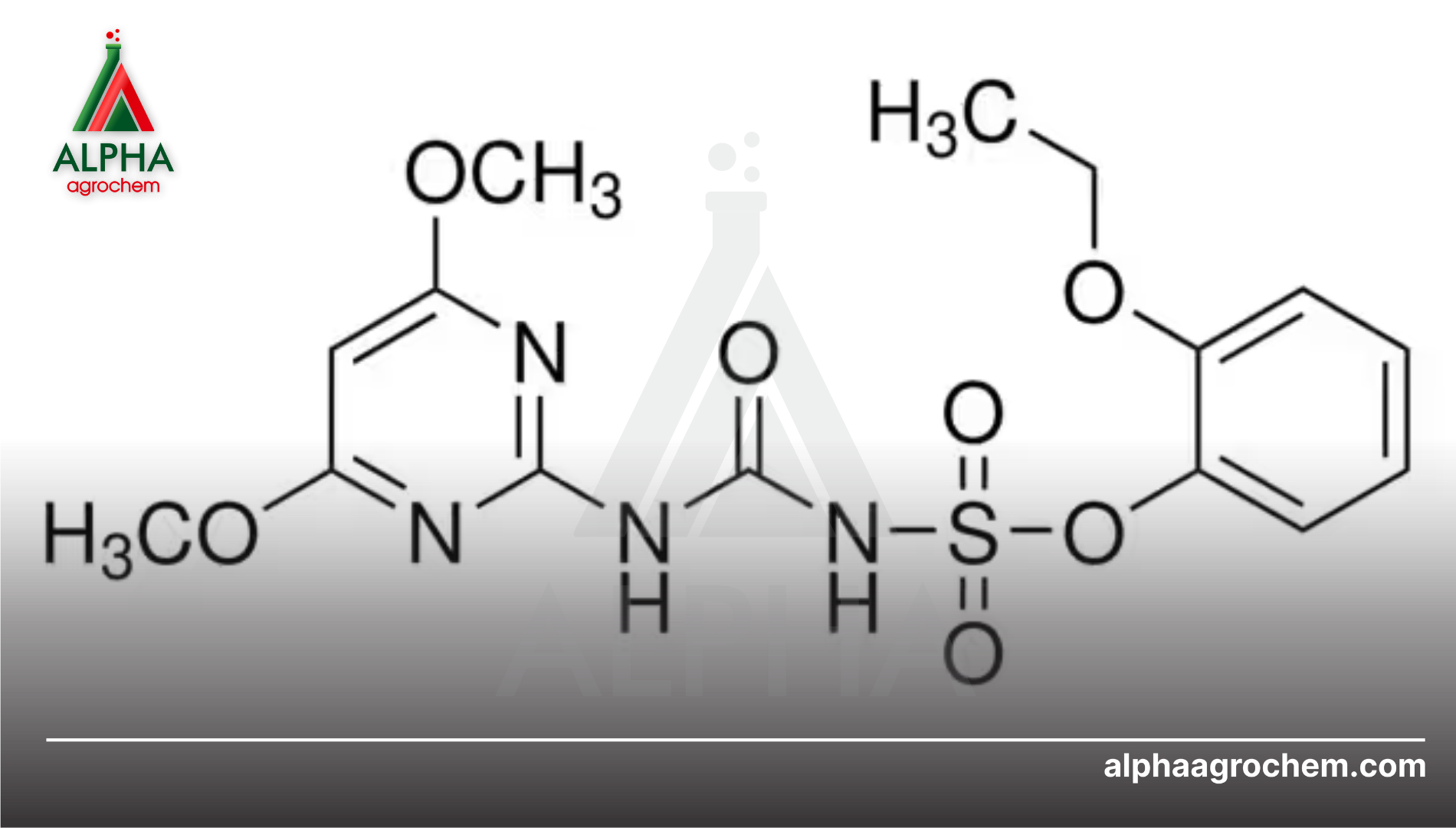 Thông tin Ethoxysulfuron