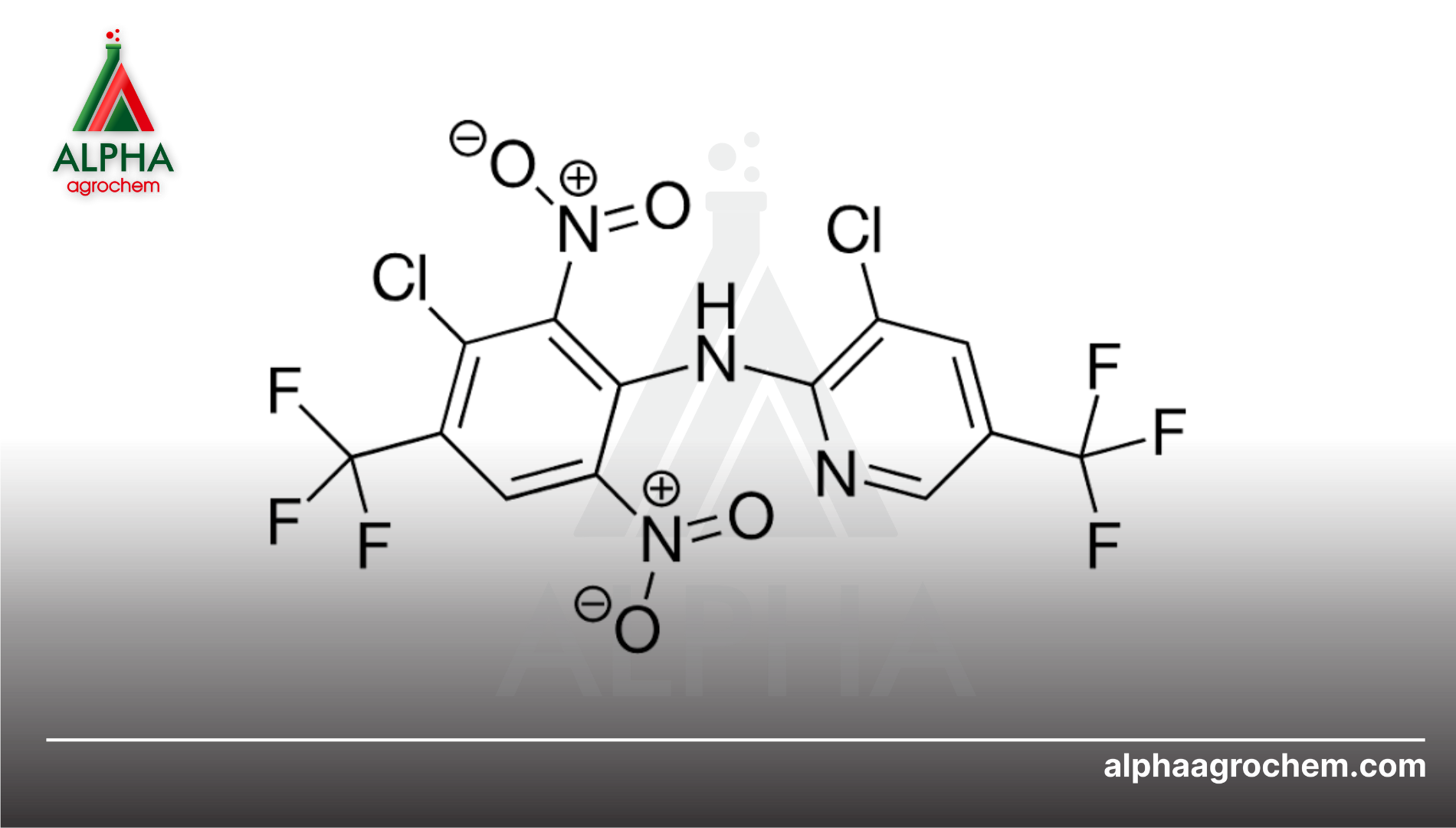 Giới thiệu về hoạt chất Fluzinam