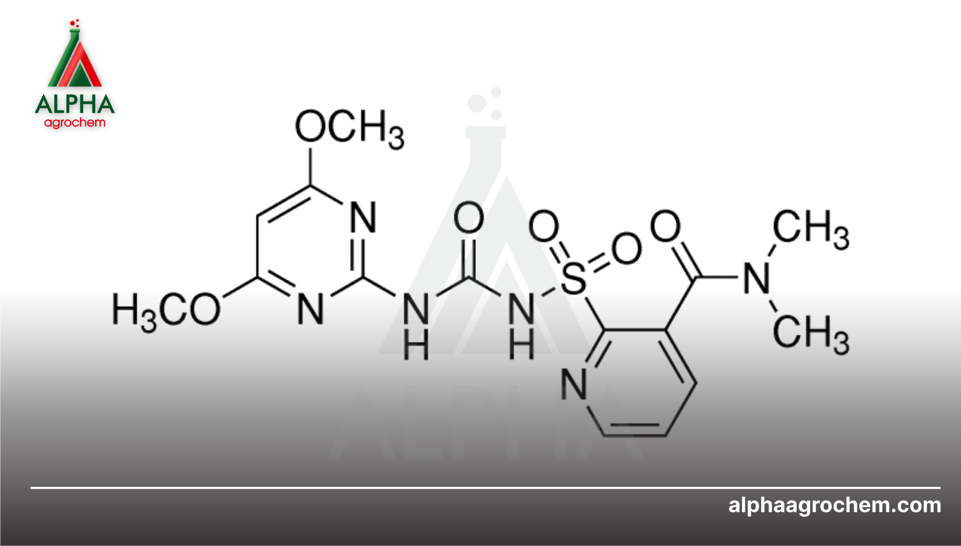 Nicosulfuron là gì?