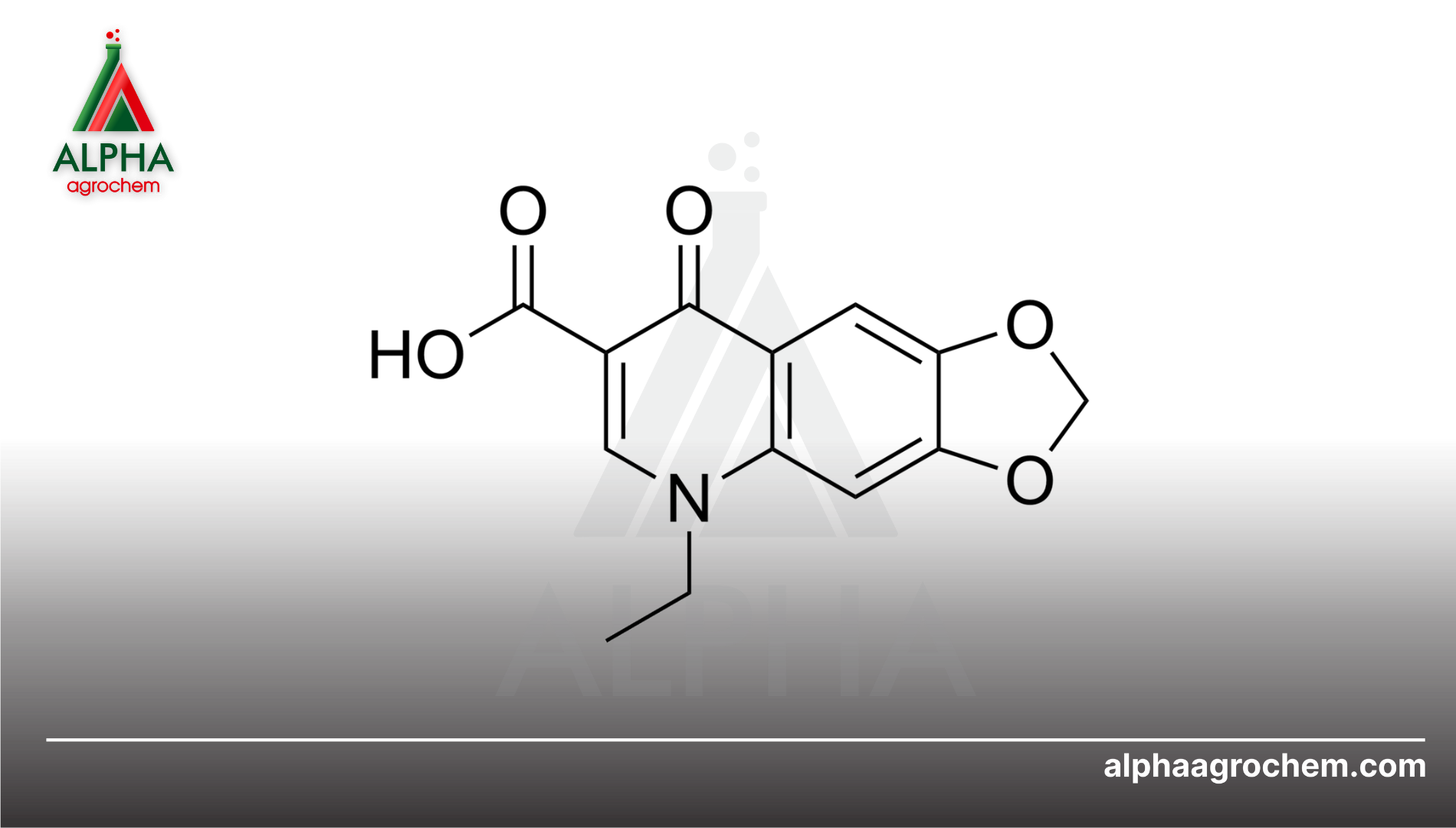 Giới thiệu về Oxolinic acid