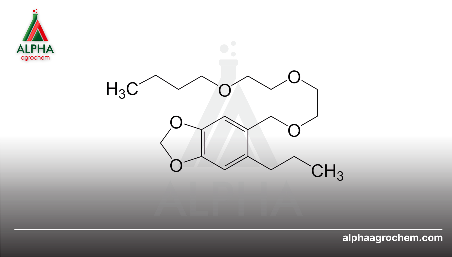 Piperonyl butoxide (PBO) là gì?