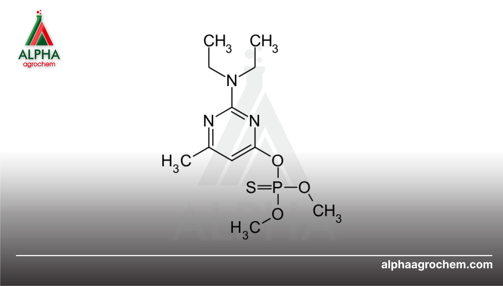 Thông tin chung về hoạt chất Pirimiphos-methyl