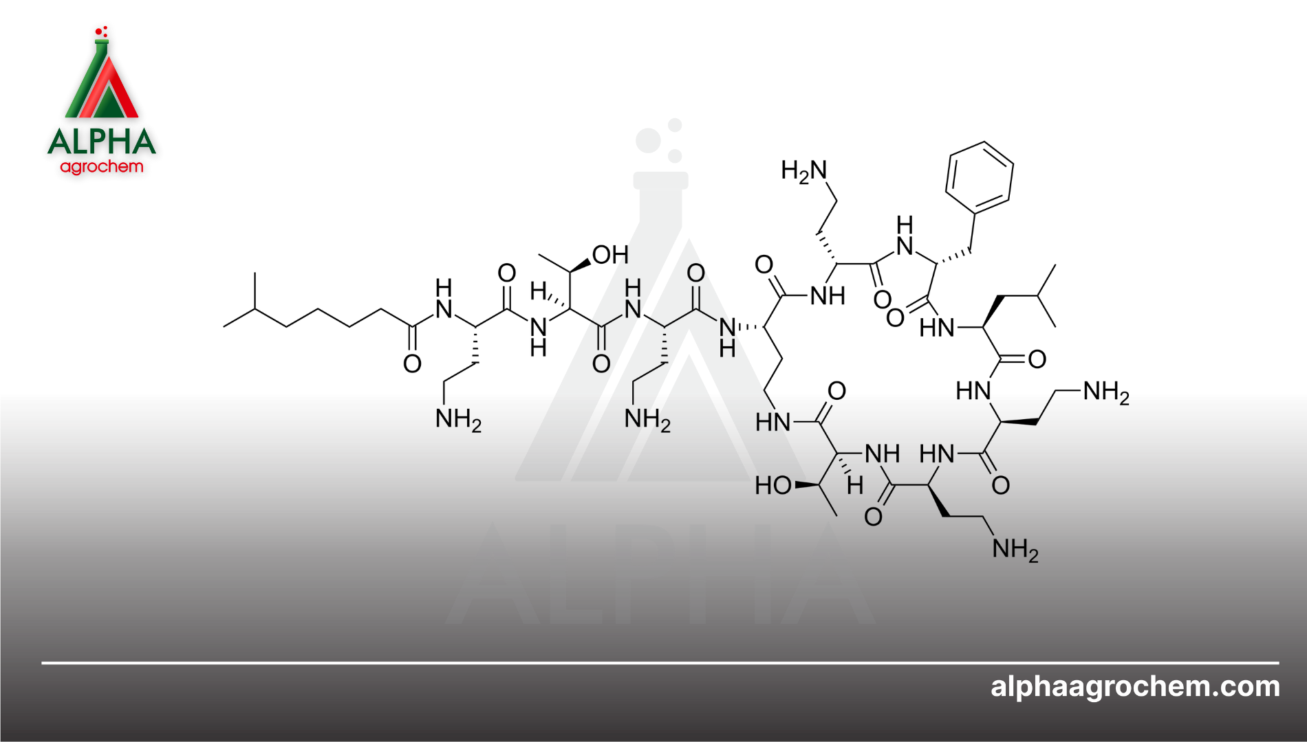 Polyoxin B là gì?