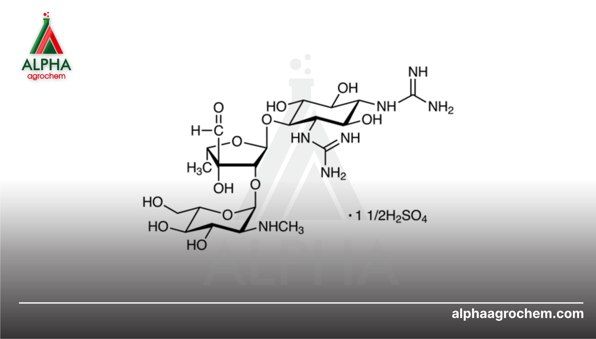 Giới thiệu về Streptomycin sulfate