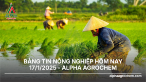 Cập nhật tin tức nông nghiệp