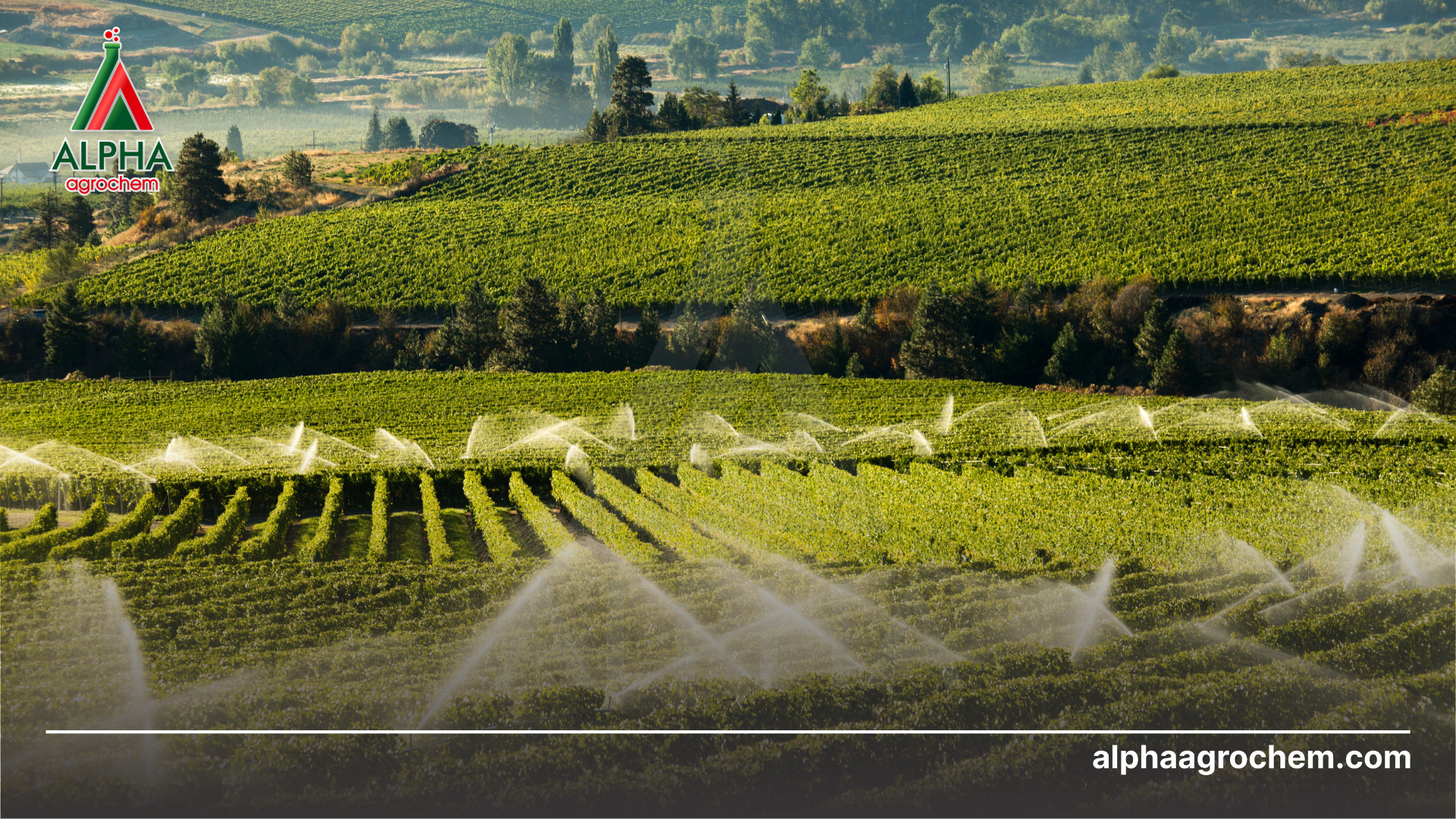 Nông nghiệp 2026: Doanh nghiệp cần nâng “sức bền”