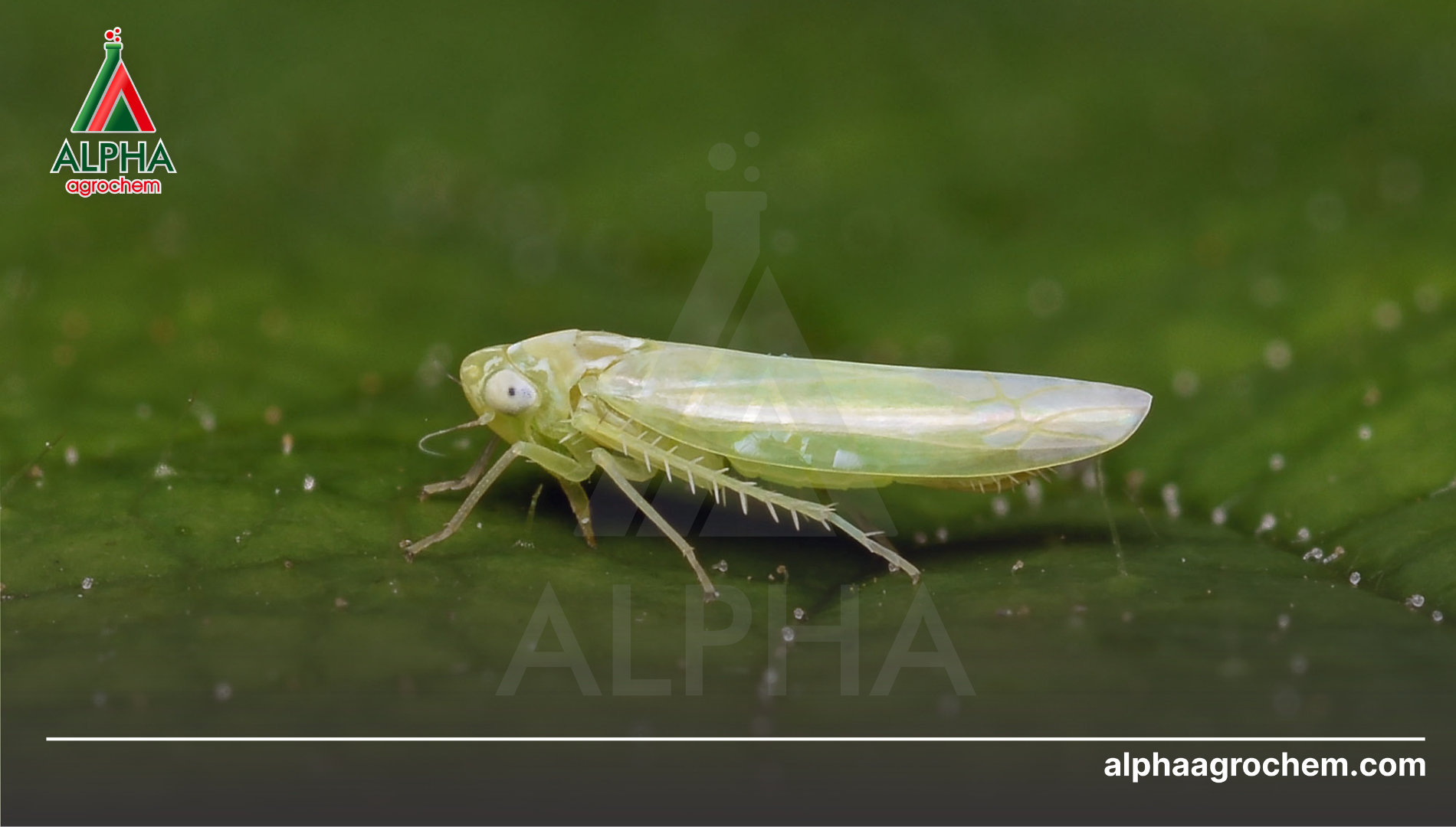 Câu hỏi thường gặp