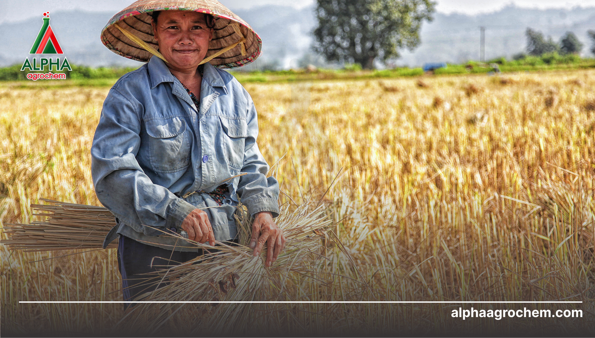 Câu hỏi thường gặp