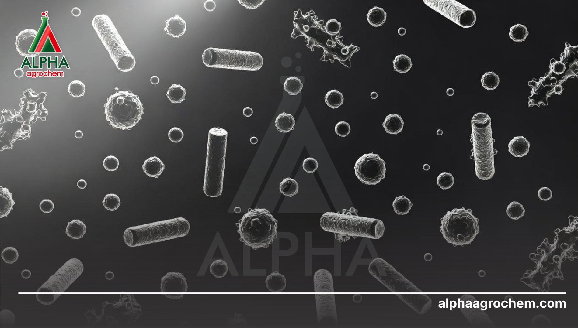 Kiểm soát kích thước hạt: Yếu tố sống còn của dạng SC