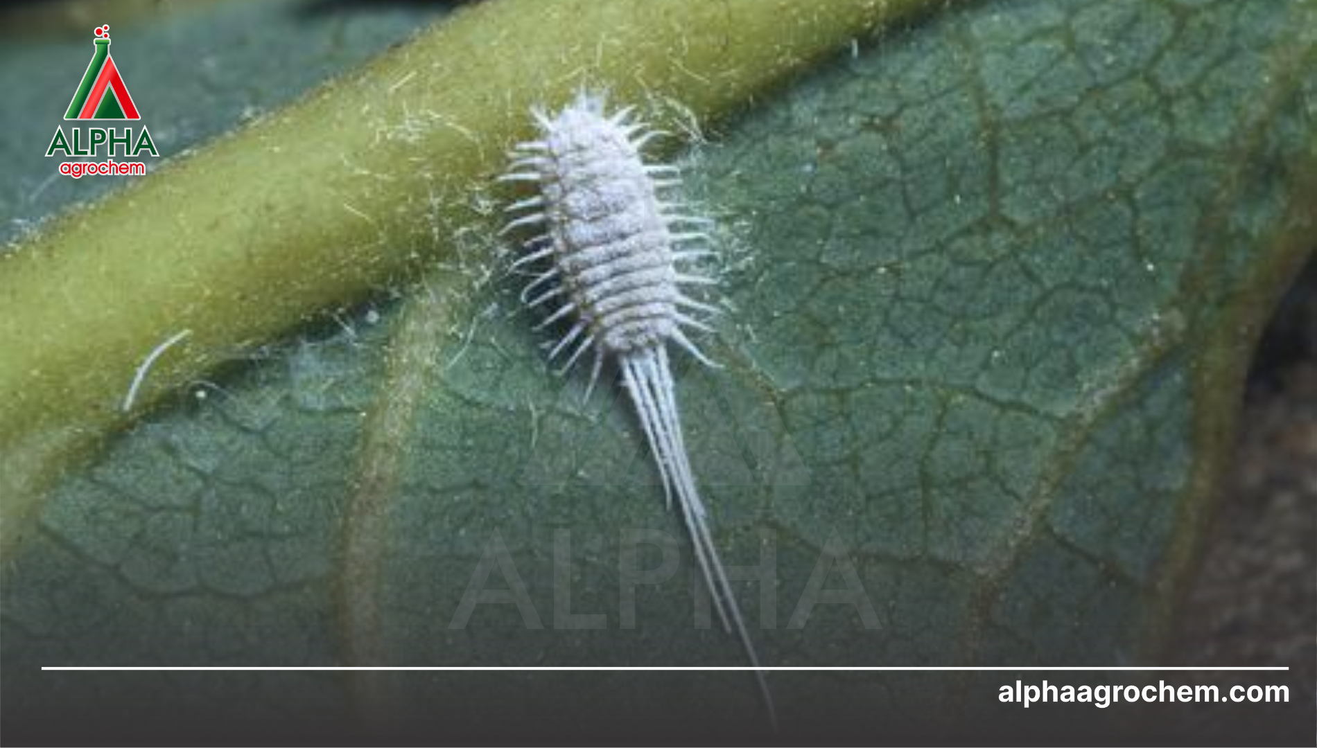 Câu hỏi thường gặp