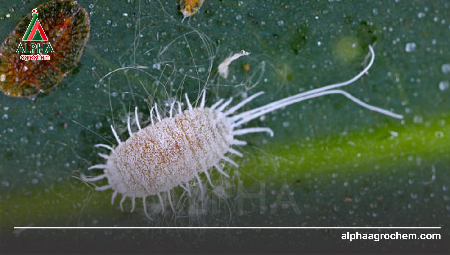 Hậu quả nghiêm trọng nếu phát hiện muộn