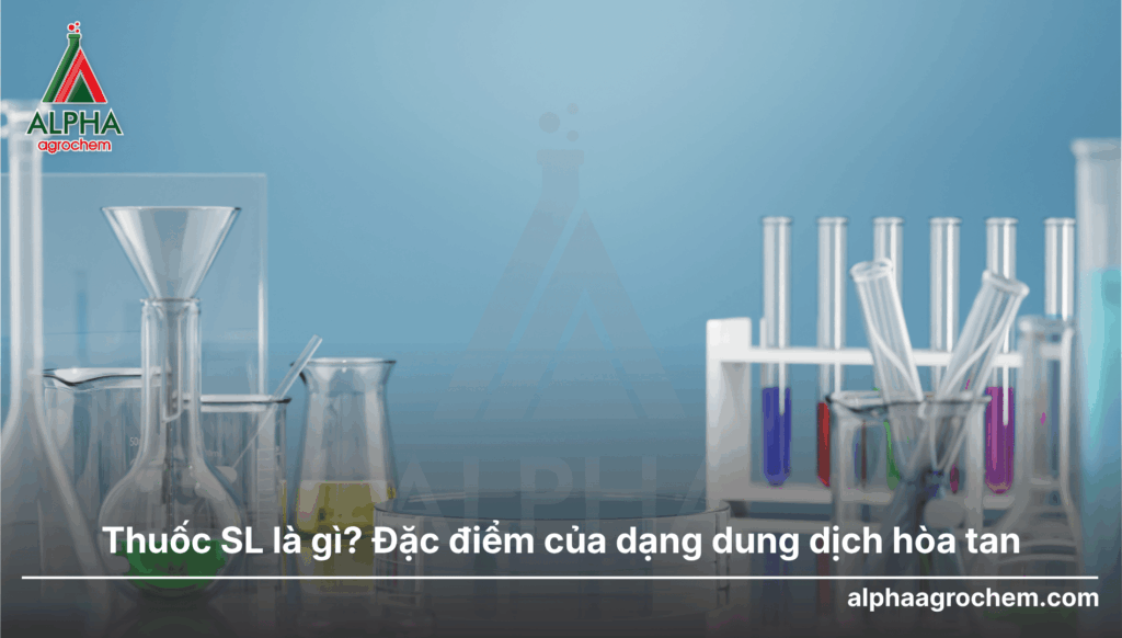 Thuốc sl là gì