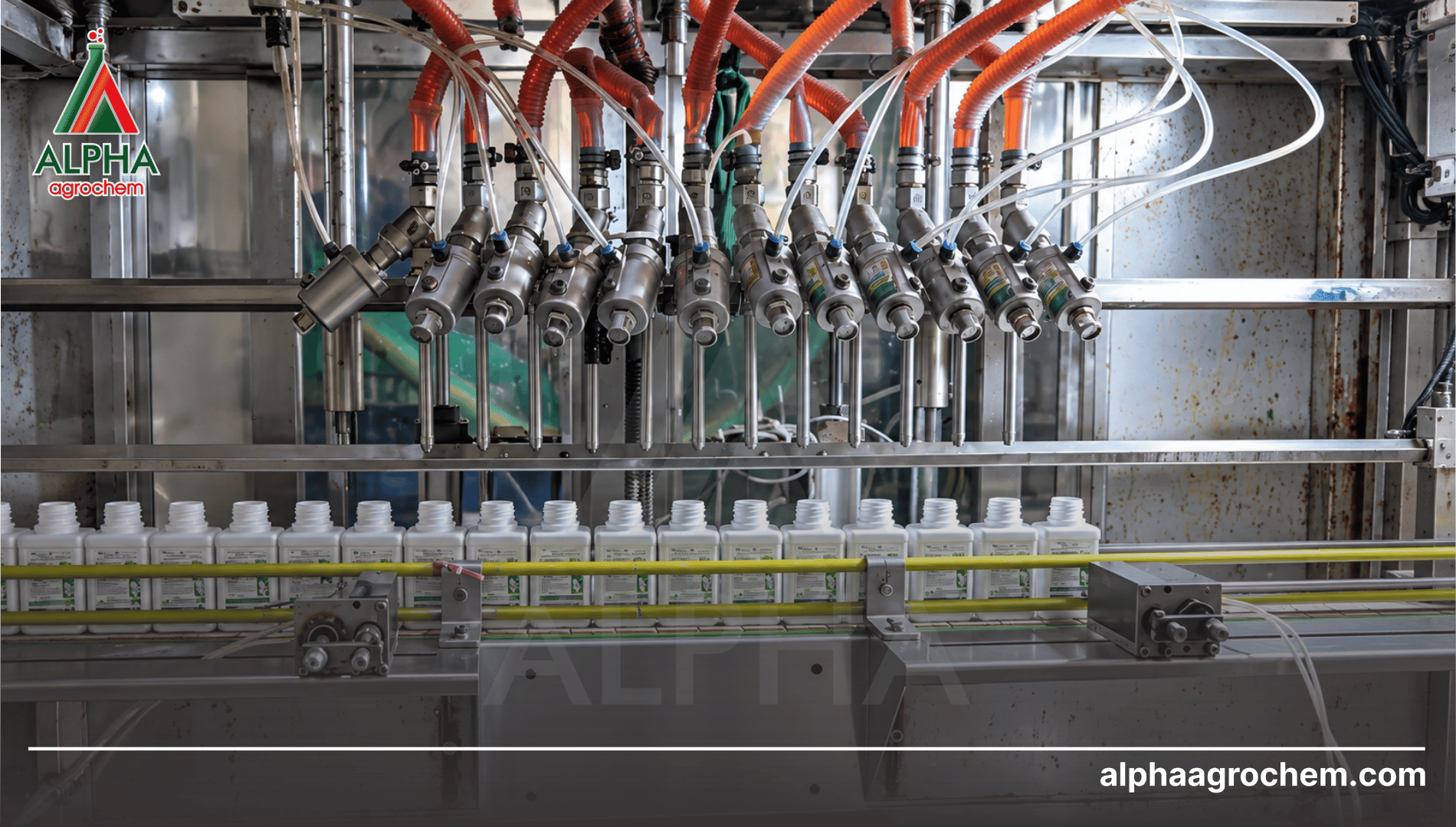 Nơi hợp tác sản xuất và gia công Rocking 500WG uy tín: Alpha Agrochem